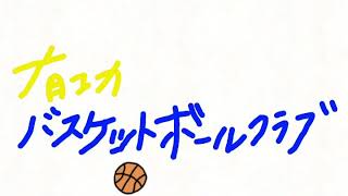 和歌山市バスケットボール?