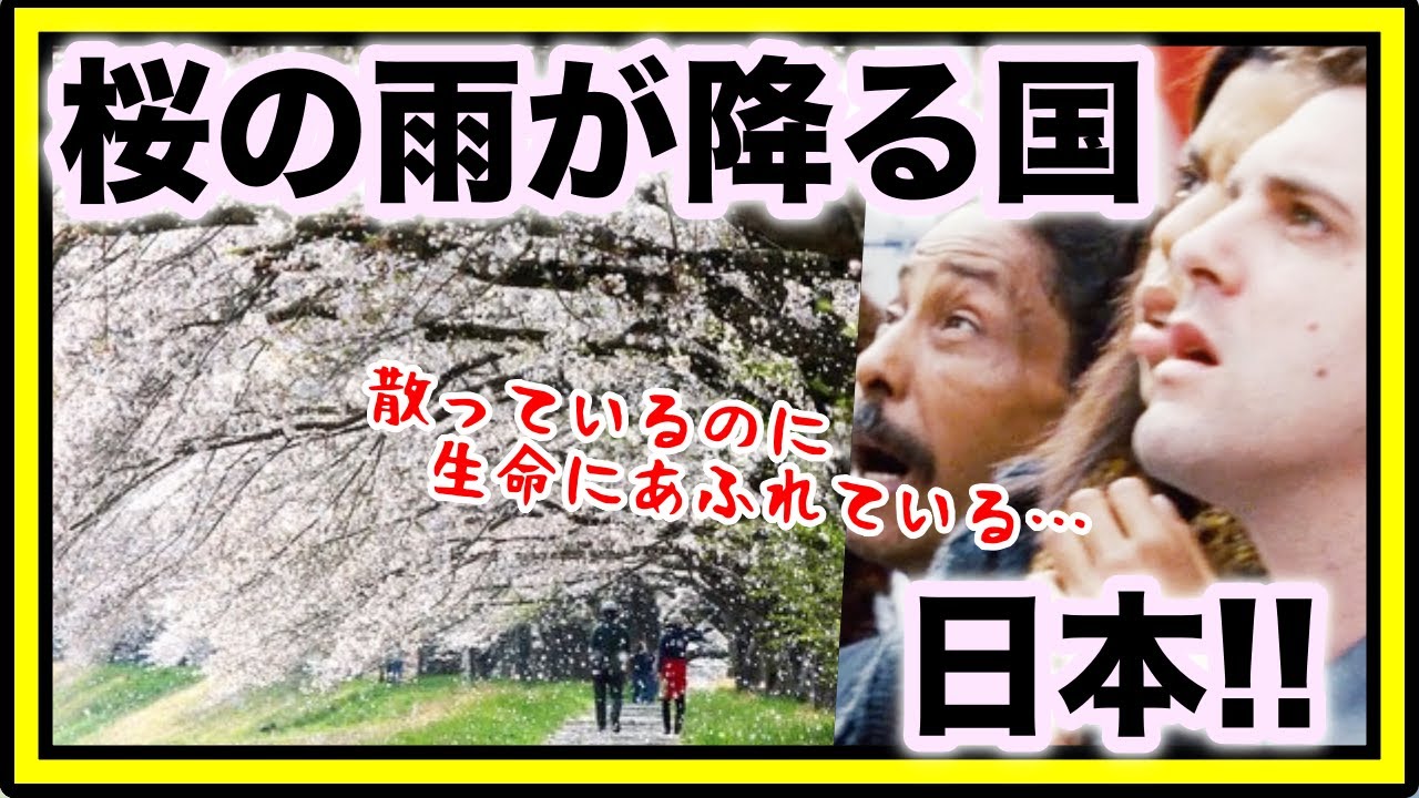 【海外の反応】感動!日本の春!!風と桜と光の映像美に外国人衝撃擬似体験!?『日本に行きたい!!!』