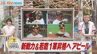 【スポーツキラリ★】新戦力＆若鷹１軍昇格へアピール