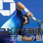 [テニス戦術]蜘蛛の巣にからまった絶対王者 メドベージェフのテニス　D.Medvedev vs N.Djokovic
