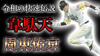 【プロ野球】連続盗塁世界記録!!走ると分かっていてアウトにできない男の物語  Ⅱ 周東佑京
