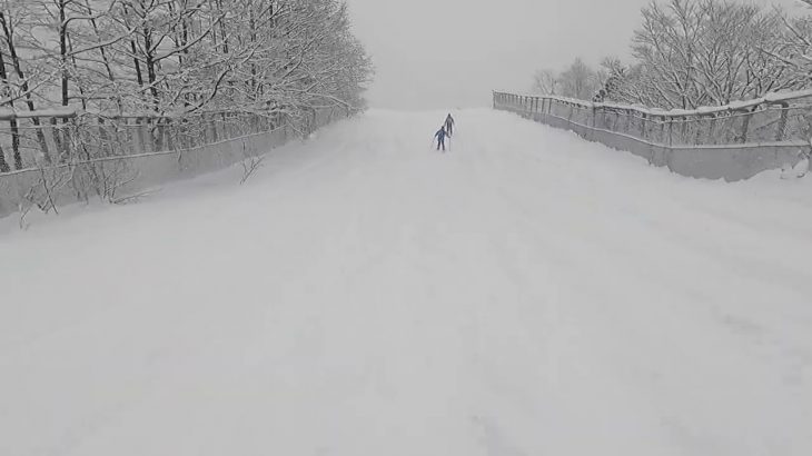 2022/1/17 白馬八方尾根スキー場、パノラマコース（真っ白…）→オリンピック1コース（パウダー満載）を滑ってみました。