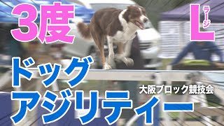 【ドッグスポーツ】2022JKC大阪ブロックアジリティー競技会　AG 3度 ラージクラス～収録映像～