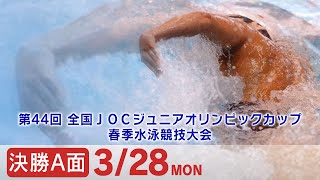 第44回 全国JOCジュニアオリンピックカップ春季水泳競技大会 2日目 決勝A面