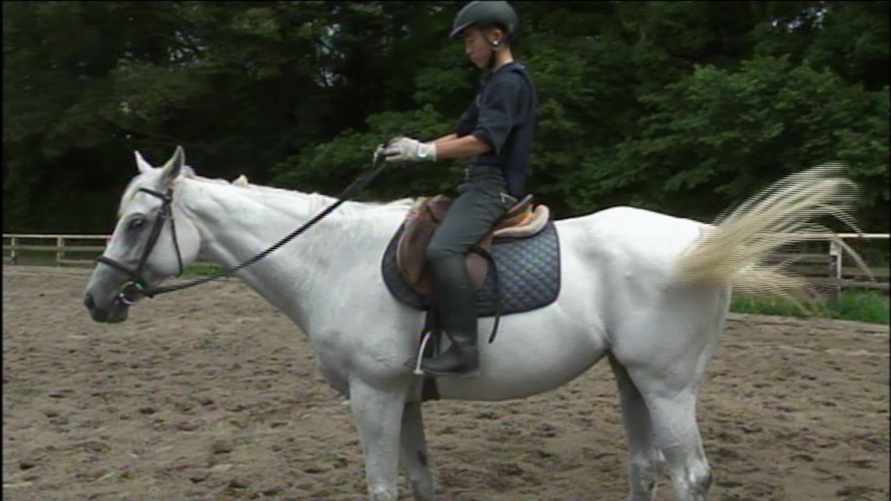 オリンピッククラブ初級乗馬講座　騎乗と下馬