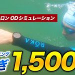 【海スイム】江ノ島海岸で泳ぐ1,500m 1本勝負、オリンピックディスタンスに向けたOWSトレーニング！【オープンウォータースイム】