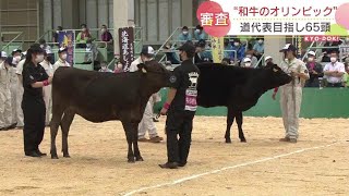 ５年に１度の“和牛のオリンピック”　北海道代表を目指し65頭が集合　音更町