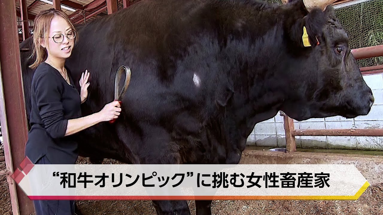 目指すは日本一の肉！“和牛オリンピック”に挑む女性畜産家【特集】