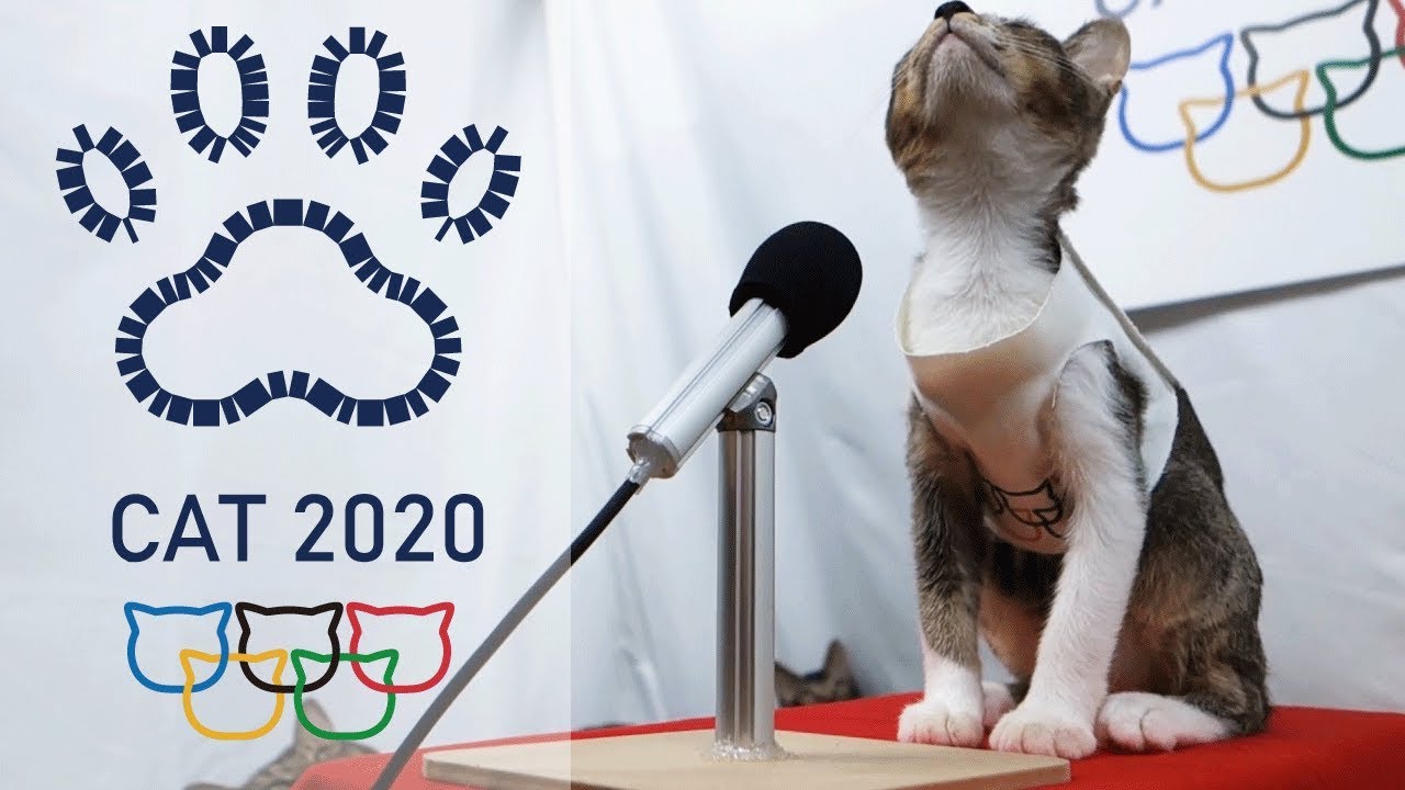 Tokyo Cat Olympic 2020 Opening Ceremony