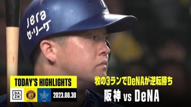 【阪神タイガース×横浜DeNAベイスターズ】2023年8月30日 ハイライト