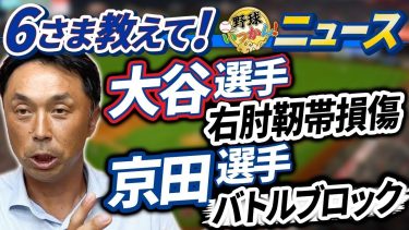 阪神戦の横浜、京田選手バトルブロックを宮本さんが斬る「あんなプレーした事ない」大谷選手、怪我の影響