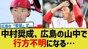 中村奨成、由宇の山中で行方不明になる…【なんJ なんG野球反応】【2ch 5ch】