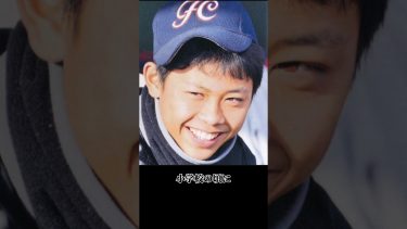 高山俊のプロ野球人生