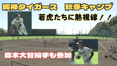 「若虎選手たちに熱視線！！阪神タイガースキャンプ」2023/11/1放送
