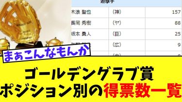 ゴールデングラブ賞ポジション別の得票数一覧がこちら【2chなんｊ】