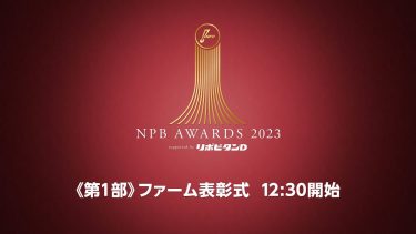 プロ野球年間表彰式「NPB AWARDS 2023 supported by リポビタンＤ」第一部
