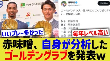 赤味噌、中日研究科としてあかみそゴールデングラブ賞を発表wwww【なんJ なんG野球反応】