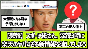 【悲報】楽天、100人アンケートの結果、やはり安樂の単独犯ではなさそうな情勢【2ch 5ch なんj プロ野球反応集 パワハラ】