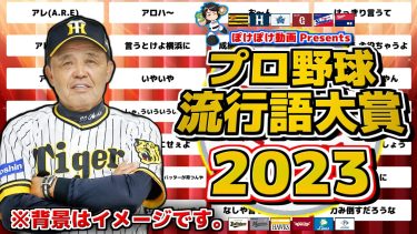 【2023】12球団ファンが選ぶ!! プロ野球流行語大賞 2023【ぽけぽけ動画 Presents】