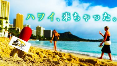 【ハワイ上陸】優勝旅行も虎バンは総力取材！動画更新をお楽しみに！阪神タイガース密着！応援番組「虎バン」ABCテレビ公式チャンネル