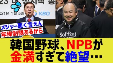 韓国野球界、NPB12球団が金満すぎて絶望する…【なんJ プロ野球反応】
