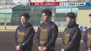【ドラ1下村投手も】阪神タイガース　2023年度新入団選手　合同自主トレ開始