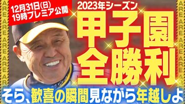 【2023全勝利】甲子園全勝利試合ハイライトまとめ！最高の思い出が詰まった2023年の締めくくり！みんなで盛り上がりましょう！！阪神タイガース密着！応援番組「虎バン」ABCテレビ公式チャンネル