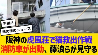 阪神の虎風荘で猫救出作戦！消防車が出動、藤浪らが見守る　【2ch】【5ch】【反応】