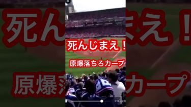 中日ファンが広島カープにヤジを飛ばす。自分は広島県民です