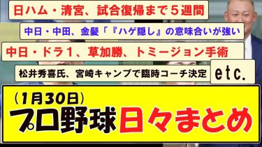 (１月３０日) プロ野球 日々まとめ