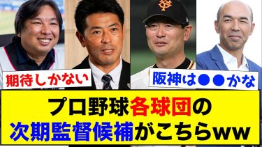 プロ野球各球団の次期監督候補がこちらww【なんJ反応集】