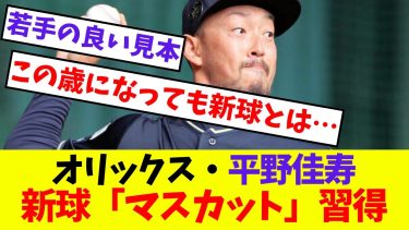 【オリックス】平野佳寿、新球「マスカット」習得【プロ野球ネットの反応集】