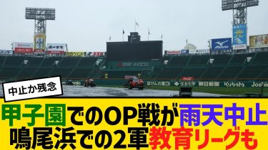 甲子園でのオープン戦が雨天中止　鳴尾浜での2軍教育リーグも　【2ch】【5ch】【反応】