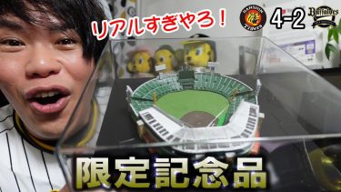 阪神がオリックスに勝利した日に甲子園球場が家に届いた！