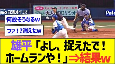 雄平「よし、捉えたで！ホームランや！」⇒結果ww【プロ野球なんJ反応】