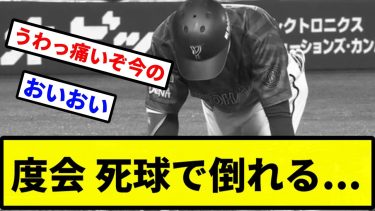 【これはいたい…】度会 死球で倒れる…【プロ野球反応集】【2chスレ】【1分動画】【5chスレ】