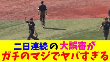 【大誤審】オスナの見えないバットがガチのマジでヤバすぎるとプロ野球ファンとなんｊ民の間で話題にｗｗｗ【なんJ反応集】