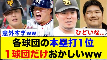 【衝撃】各球団の本塁打1位、1球団だけおかしいwww【なんJ反応集】