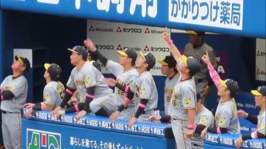 【ベンチ】才木完封！みんなで立ち上がりボールの行方を見守る　2024.05.12 阪神タイガース
