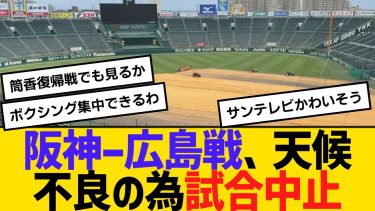阪神ー広島戦　天候不良の為、試合中止　【2ch】【5ch】【反応】