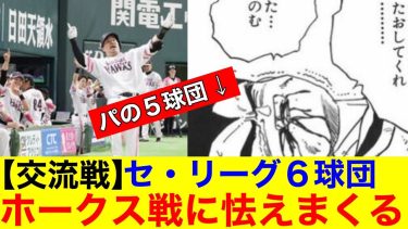 【交流戦】セ・リーグ６球団さん　ホークス戦に怯えまくるｗｗ【プロ野球反応集】【なんｊまとめ】【ホークス】