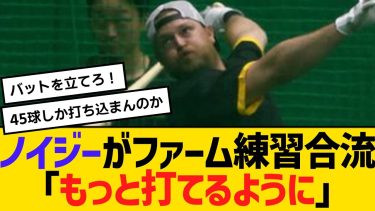 阪神ノイジーがファーム練習合流「もっと打てるように」　【ネットの反応】【反応集】