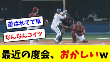 【天才】最近の度会、２軍投手をおもちゃにするwwwwwwww